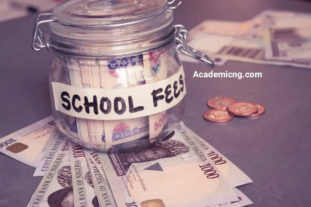 Naira notes school fees
