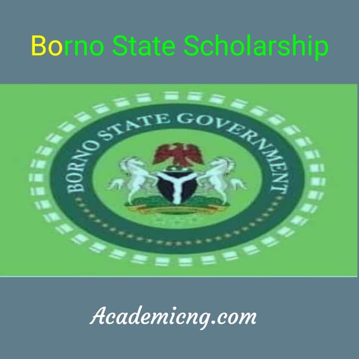 Borno State Scholarship 2024/25 Board Application Portal Academicful