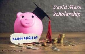 David mark scholarship