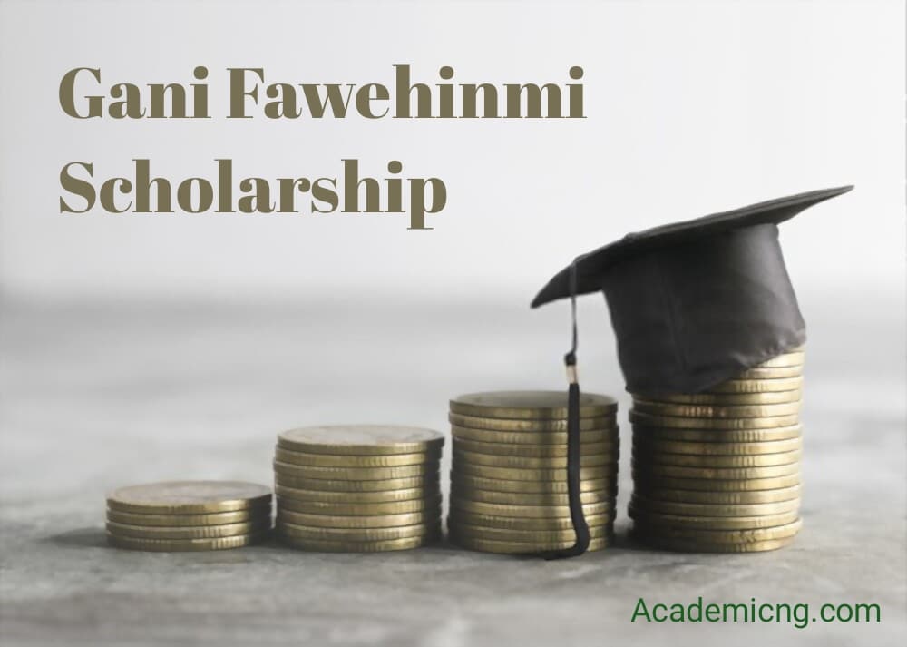 Gani Fawehinmi scholarship