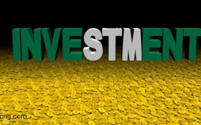 7 Best Nigeria Investment Companies that Pay Weekly