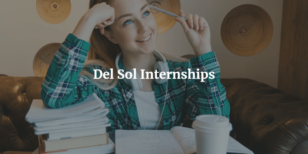 del-sol-internship-2024-application-guide-academicful