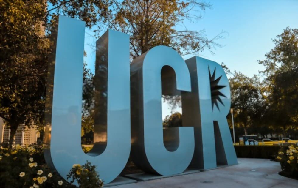 UC Riverside (UCR) Acceptance Rate 2023 By Major Academicful