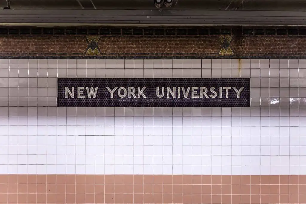 New York University