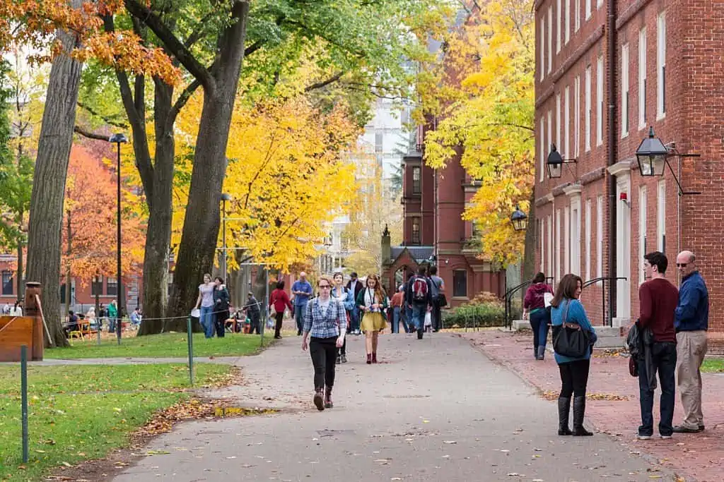 Harvard campus