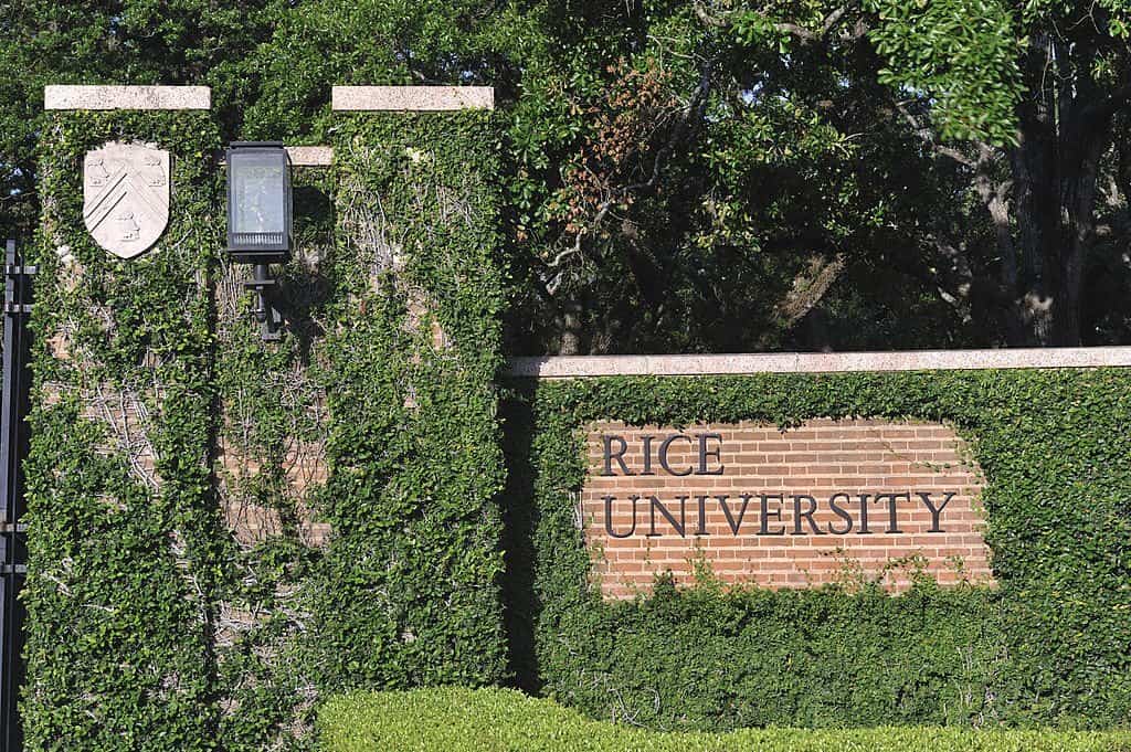 Rice university entrance