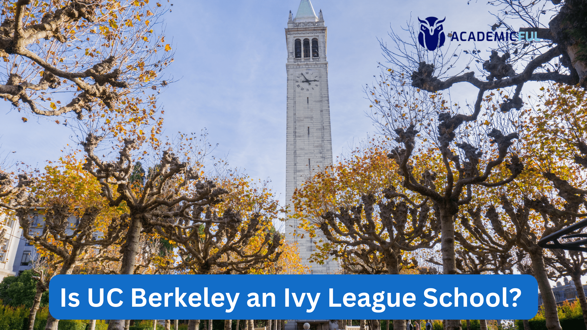 UC Berkeley Ivy league