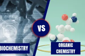 biochemistry vs organic chemistry