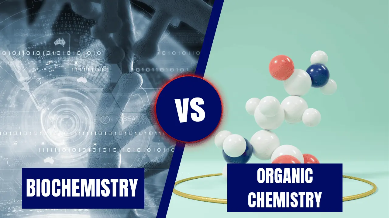 biochemistry vs organic chemistry
