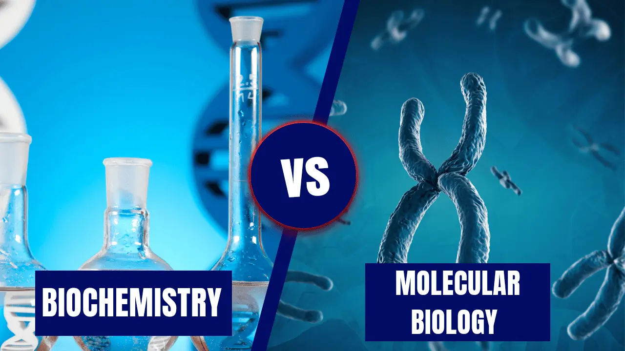 biochemistry vs molecular biology