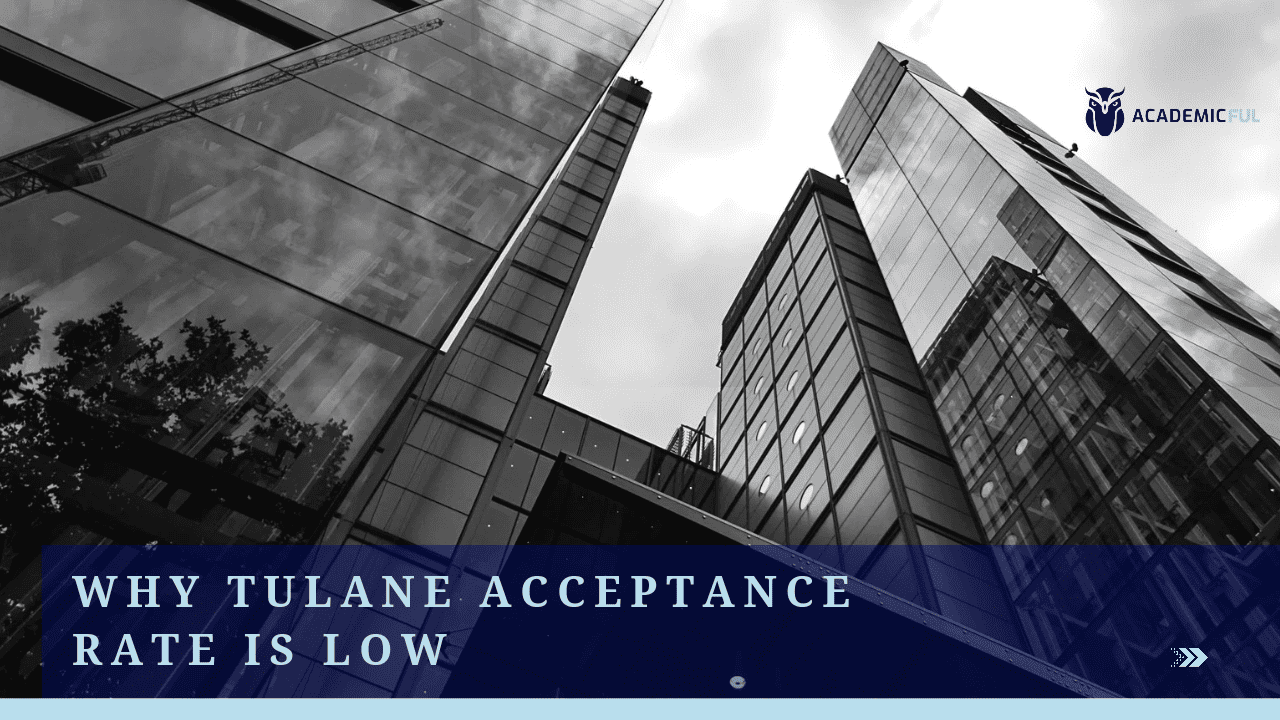 Why Is Tulane Acceptance Rate So Low? & Tips To Get In Academicful